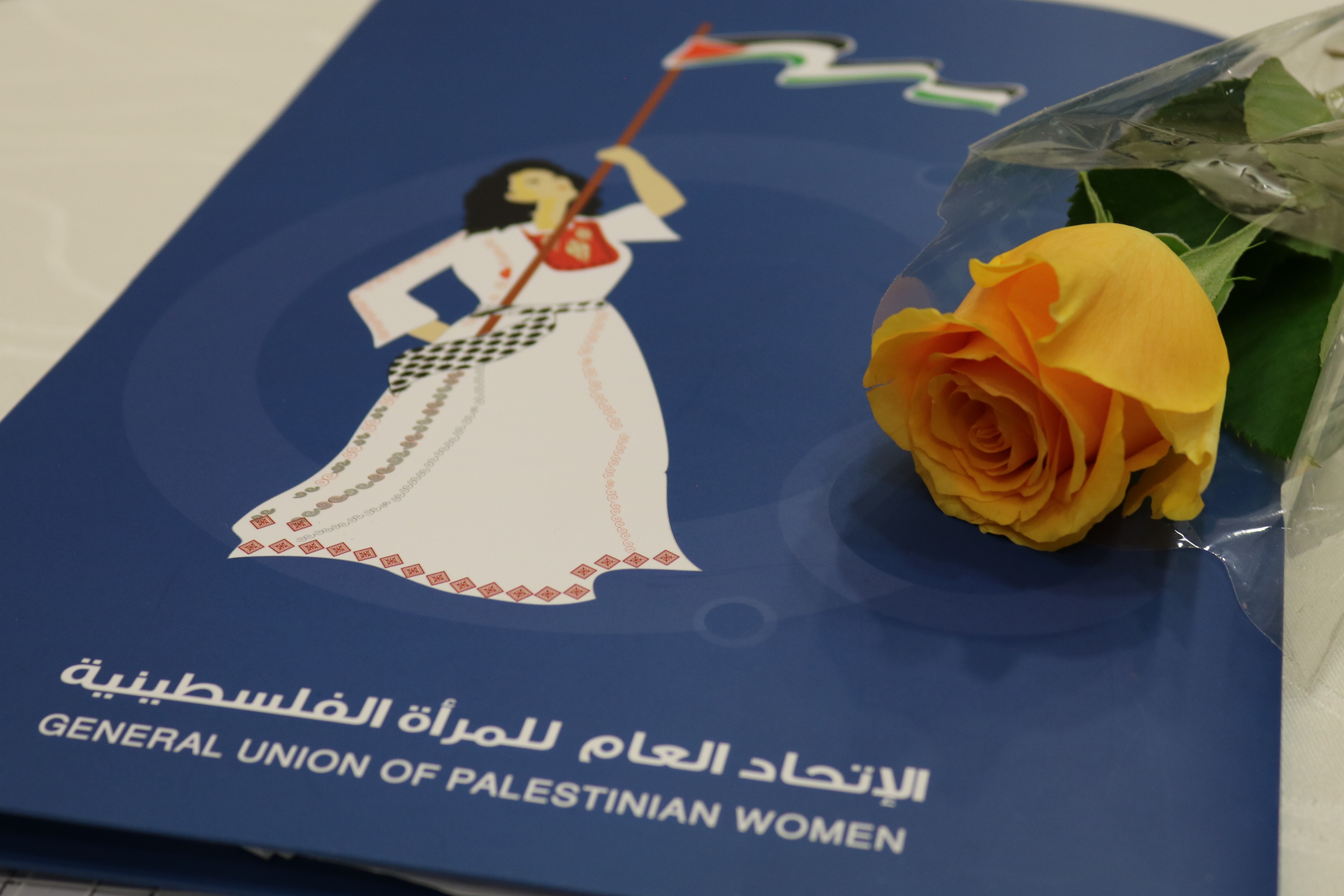 مصفوفة المؤشرات الخاصة باتفاقية القضاء على كافة أشكال التمييز ضد المرأة